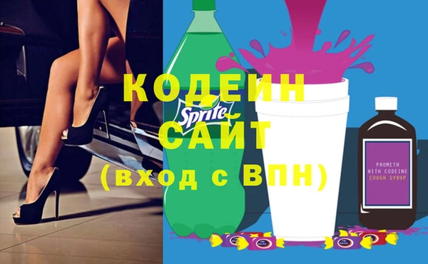 шишки Арсеньев