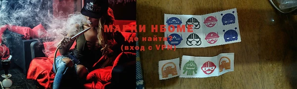шишки Арсеньев