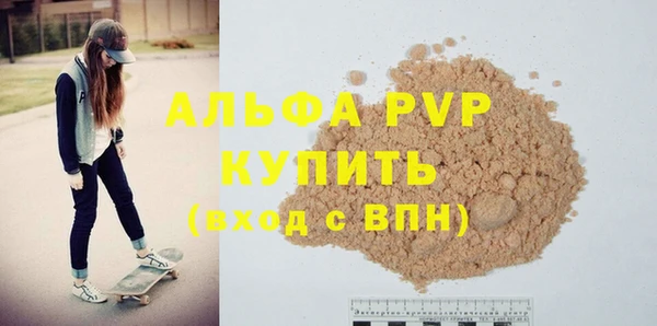 шишки Арсеньев