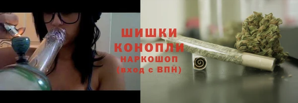 шишки Арсеньев