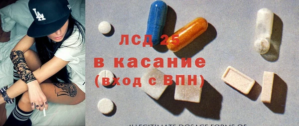 шишки Арсеньев