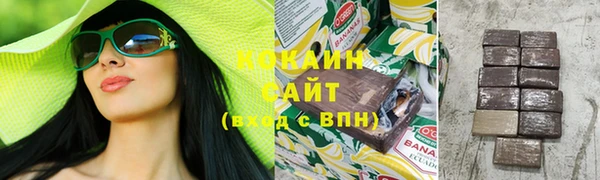 гидра Аркадак