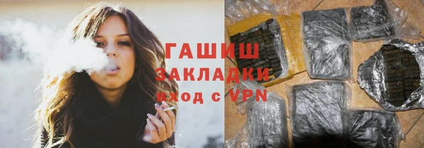 шишки Арсеньев