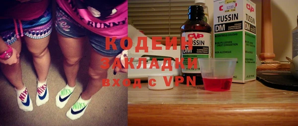 шишки Арсеньев